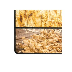 MANTEL INDIVIDUAL PP PRINTED 4D AVENA